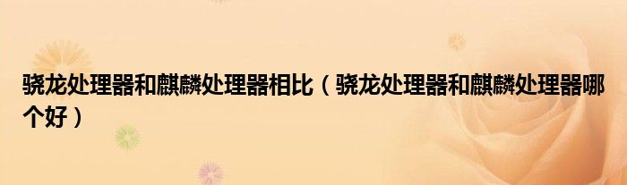 骁龙处理器和麒麟处理器相比(骁龙处理器和麒麟处理器哪个好)