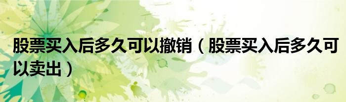 股票买入后多久可以撤销(股票买入后多久可以卖出)