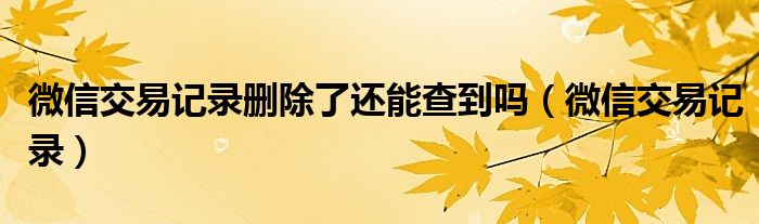 微信交易记录删除了还能查到吗(微信交易记录)