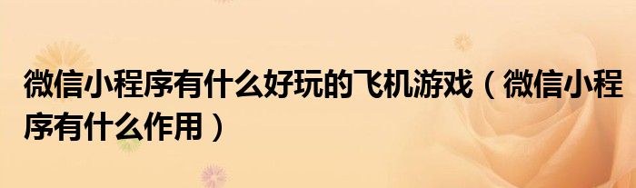 微信小程序有什么好玩的飞机游戏(微信小程序有什么作用)