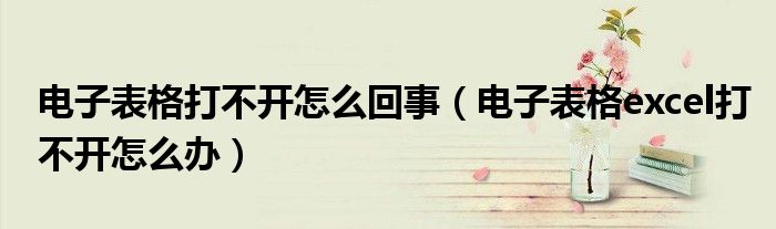 电子表格打不开怎么回事(电子表格excel打不开怎么办)