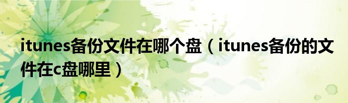 itunes备份文件在哪个盘(itunes备份的文件在c盘哪里)