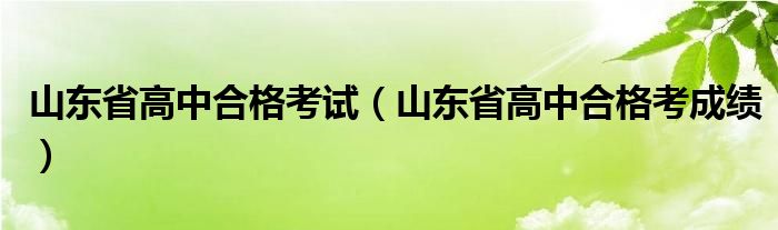 山东省高中合格考试(山东省高中合格考成绩)