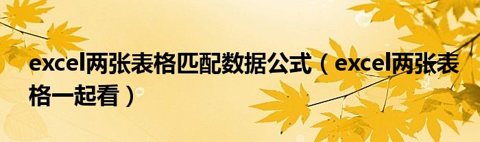 excel两张表格匹配数据公式(excel两张表格一起看)