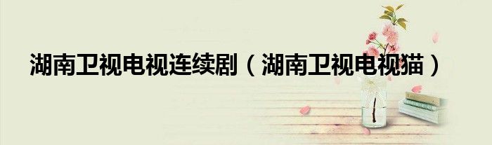 湖南卫视电视连续剧(湖南卫视电视猫)
