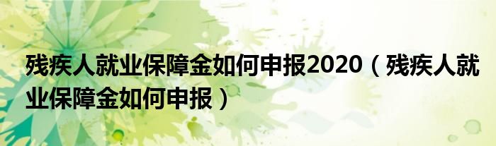 残疾人就业保障金如何申报2020(残疾人就业保障金如何申报)