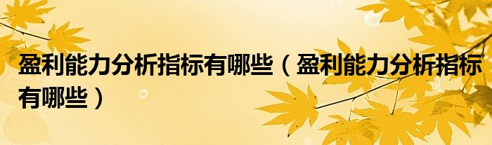 盈利能力分析指标有哪些(盈利能力分析指标有哪些)