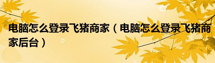 电脑怎么登录飞猪商家(电脑怎么登录飞猪商家后台)