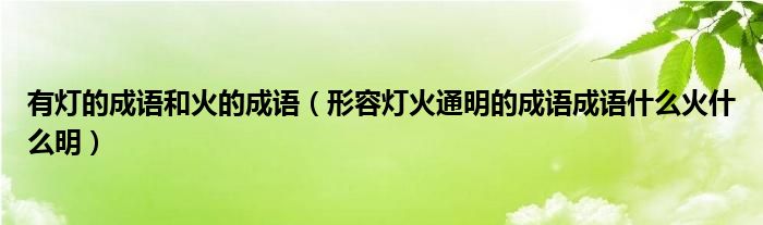 有灯的成语和火的成语(形容灯火通明的成语成语什么火什么明)