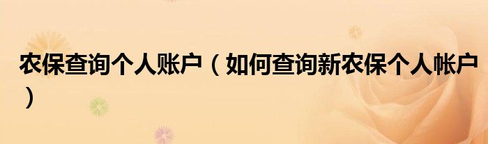 农保查询个人账户(如何查询新农保个人帐户)
