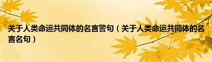 关于人类命运共同体的名言警句(关于人类命运共同体的名言名句)