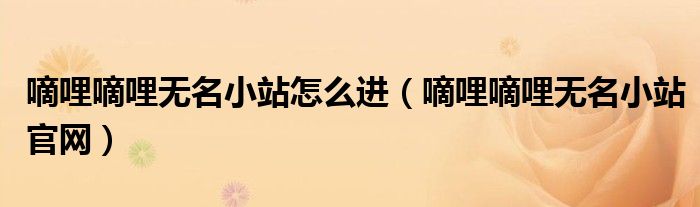 嘀哩嘀哩无名小站怎么进(嘀哩嘀哩无名小站官网)