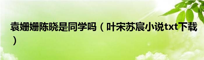 袁姗姗陈晓是同学吗(叶宋苏宸小说txt下载)