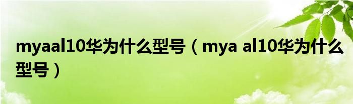 myaal10华为什么型号(mya al10华为什么型号)