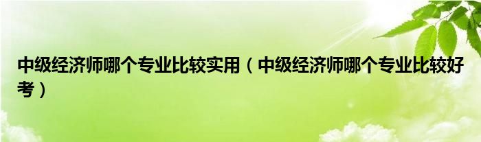 中级经济师哪个专业比较实用(中级经济师哪个专业比较好考)