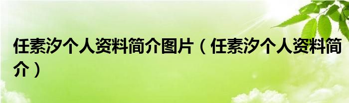 任素汐个人资料简介图片(任素汐个人资料简介)