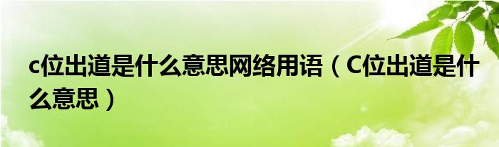 c位出道是什么意思网络用语(C位出道是什么意思)
