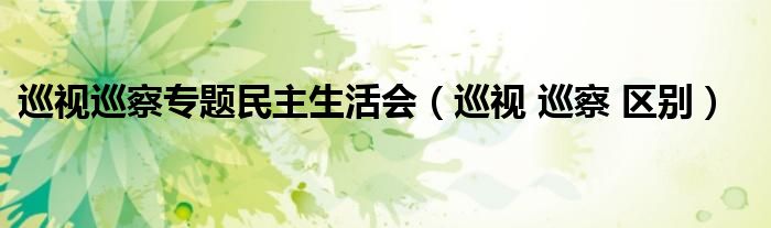 巡视巡察专题民主生活会(巡视 巡察 区别)