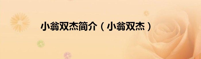 小翁双杰简介(小翁双杰)