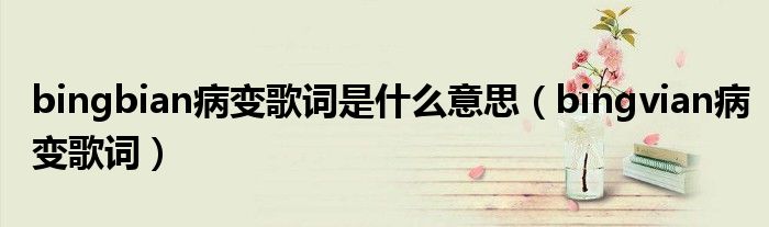 bingbian病变歌词是什么意思(bingvian病变歌词)