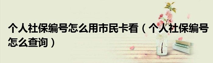 个人社保编号怎么用市民卡看（个人社保编号怎么查询）