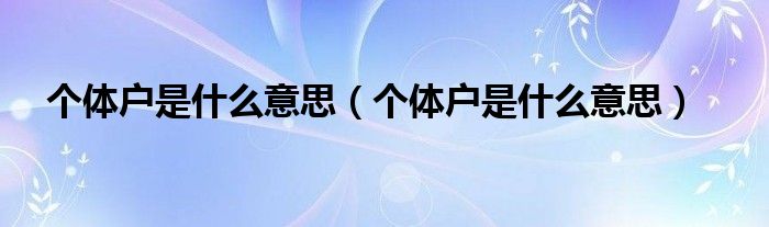 个体户是什么意思(个体户是什么意思)