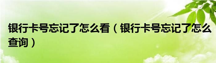 银行卡号忘记了怎么看(银行卡号忘记了怎么查询)