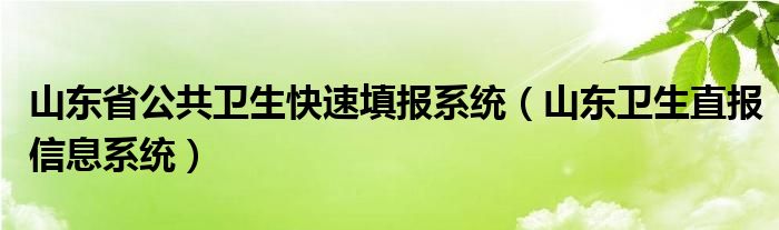 山东省公共卫生快速填报系统(山东卫生直报信息系统)