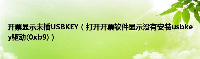开票显示未插USBKEY(打开开票软件显示没有安装usbkey驱动(0xb9))