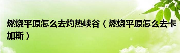 燃烧平原怎么去灼热峡谷(燃烧平原怎么去卡加斯)