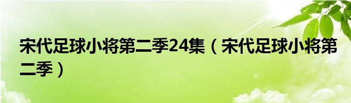 宋代足球小将第二季24集(宋代足球小将第二季)