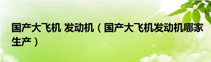 国产大飞机 发动机(国产大飞机发动机哪家生产)