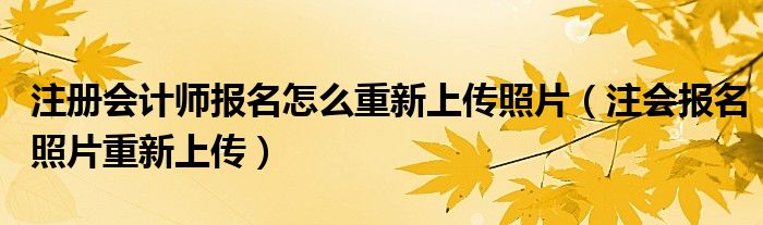 注册会计师报名怎么重新上传照片(注会报名照片重新上传)