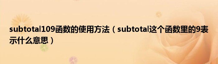 subtotal109函数的使用方法(subtotal这个函数里的9表示什么意思)