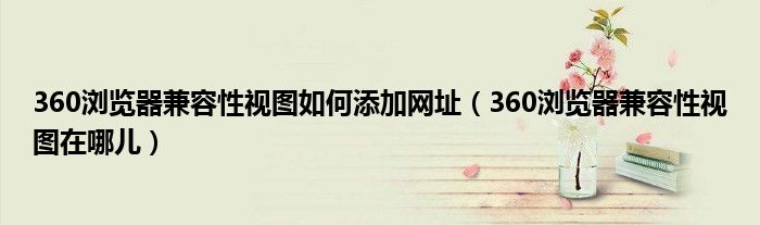 360浏览器兼容性视图如何添加网址(360浏览器兼容性视图在哪儿)