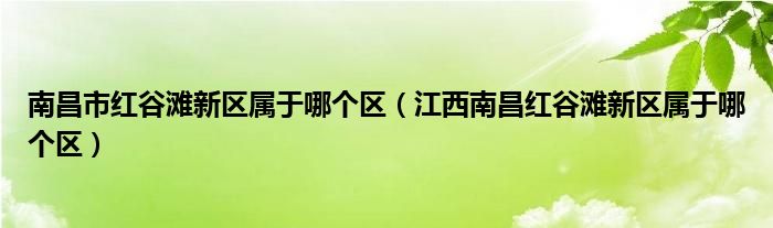 南昌市红谷滩新区属于哪个区(江西南昌红谷滩新区属于哪个区)