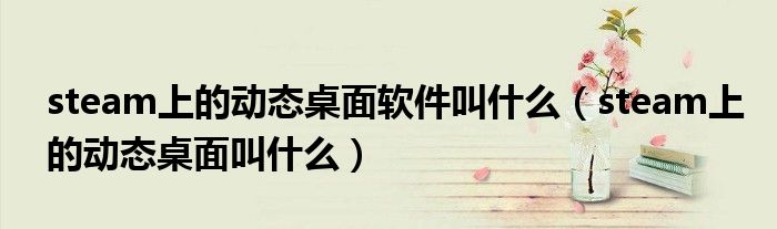 steam上的动态桌面软件叫什么(steam上的动态桌面叫什么)