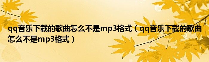 qq音乐下载的歌曲怎么不是mp3格式(qq音乐下载的歌曲怎么不是mp3格式)