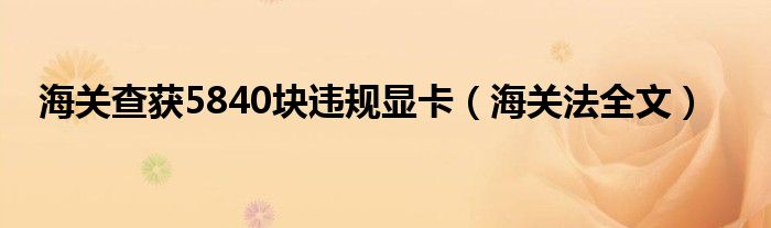 海关查获5840块违规显卡(海关法全文)