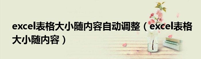 excel表格大小随内容自动调整(excel表格大小随内容)