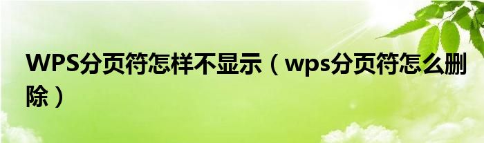 WPS分页符怎样不显示(wps分页符怎么删除)