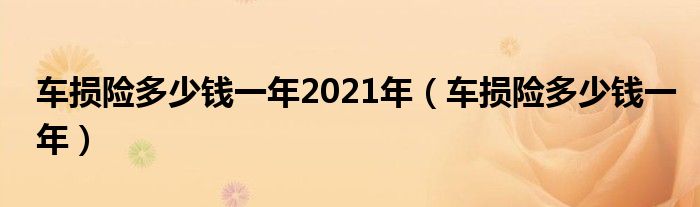 车损险多少钱一年2021年(车损险多少钱一年)