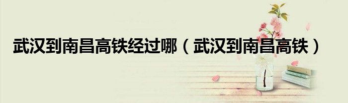 武汉到南昌高铁经过哪(武汉到南昌高铁)