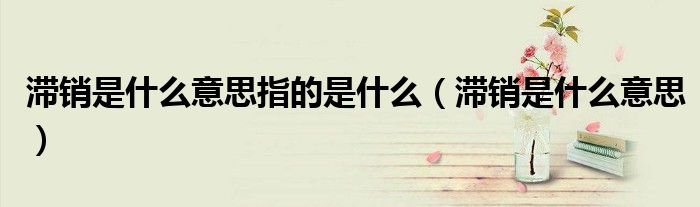滞销是什么意思指的是什么(滞销是什么意思)