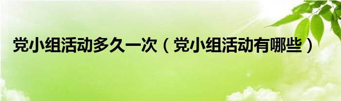 党小组活动多久一次(党小组活动有哪些)