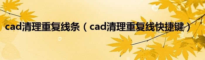 cad清理重复线条(cad清理重复线快捷键)