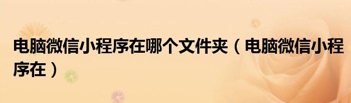 电脑微信小程序在哪个文件夹(电脑微信小程序在)