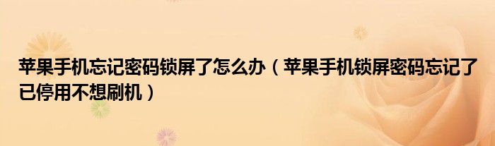 苹果手机忘记密码锁屏了怎么办(苹果手机锁屏密码忘记了已停用不想刷机)