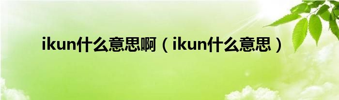 ikun什么意思啊(ikun什么意思)