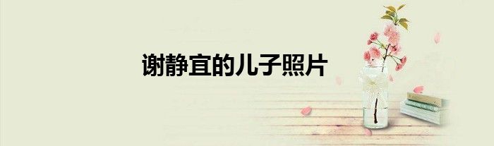 谢静宜的儿子照片